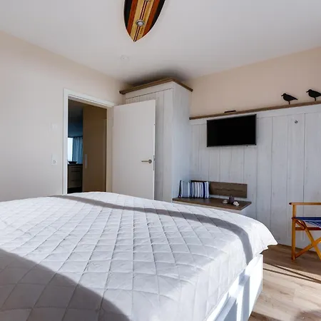 Starboard * 奥尔本尼兹