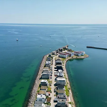 Starboard 奥尔本尼兹