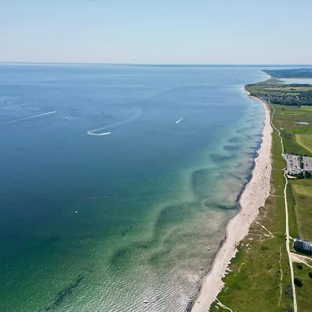 Starboard * 奥尔本尼兹